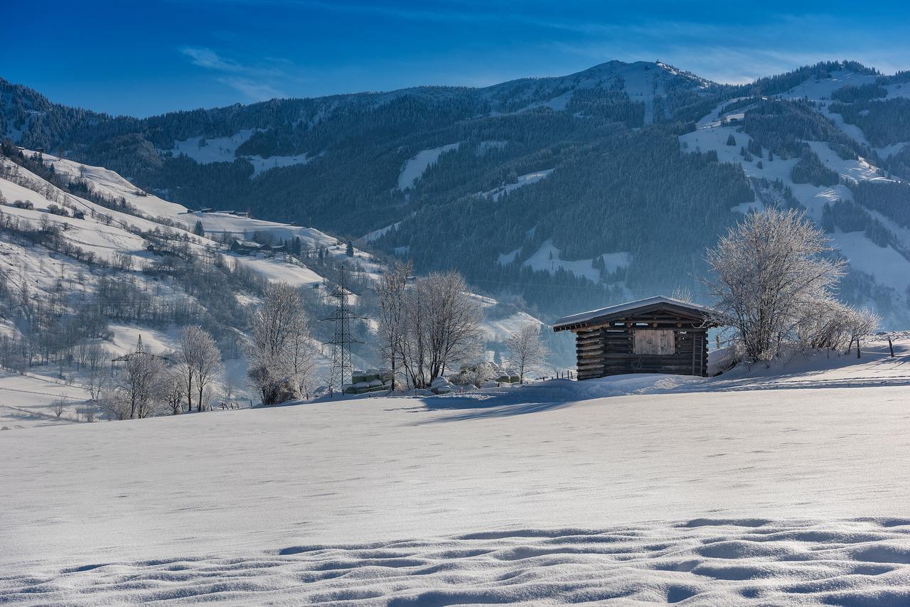 דורפגשטיין Bauernhofhotel "Die Unterbergerin" - Zimmer Mit Fruehstueck Und Ferienwohnungen In Gastein Mit Gratis Thermeneintritt מראה חיצוני תמונה