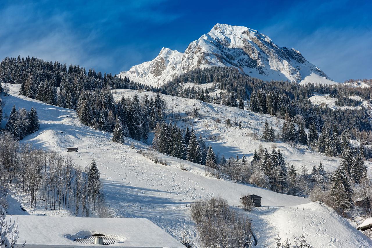 דורפגשטיין Bauernhofhotel "Die Unterbergerin" - Zimmer Mit Fruehstueck Und Ferienwohnungen In Gastein Mit Gratis Thermeneintritt מראה חיצוני תמונה