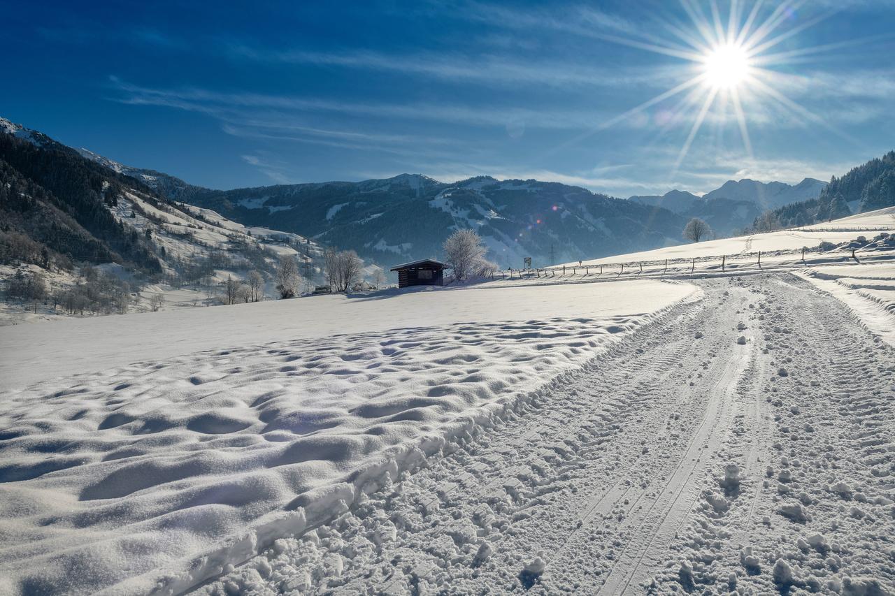 דורפגשטיין Bauernhofhotel "Die Unterbergerin" - Zimmer Mit Fruehstueck Und Ferienwohnungen In Gastein Mit Gratis Thermeneintritt מראה חיצוני תמונה